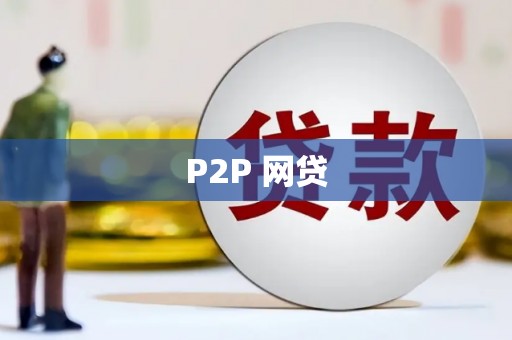 卢氏P2P 网贷