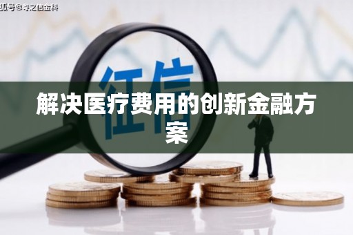 卢氏解决医疗费用的创新金融方案