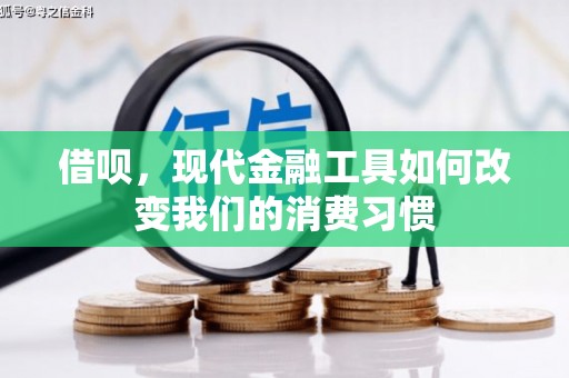 卢氏借呗，现代金融工具如何改变我们的消费习惯