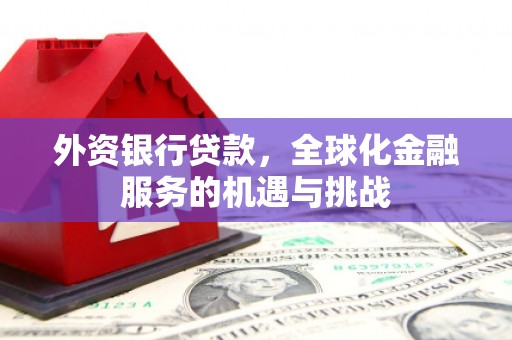 卢氏外资银行贷款，全球化金融服务的机遇与挑战