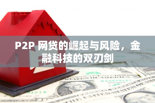 卢氏P2P 网贷的崛起与风险，金融科技的双刃剑