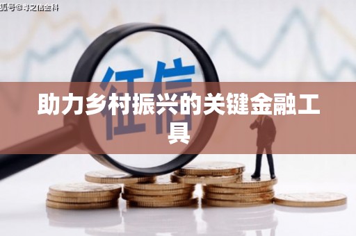 卢氏助力乡村振兴的关键金融工具