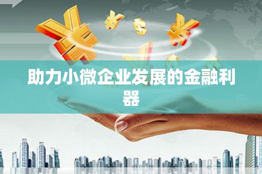 卢氏助力小微企业发展的金融利器