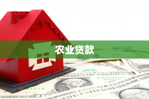 卢氏农业贷款