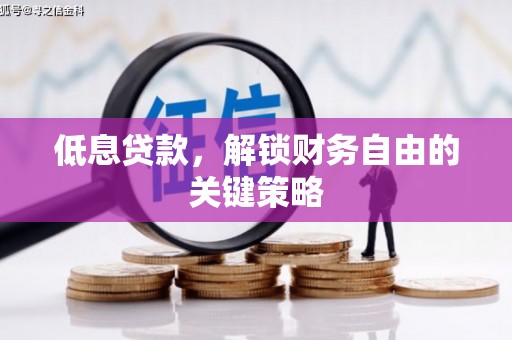 卢氏低息贷款，解锁财务自由的关键策略