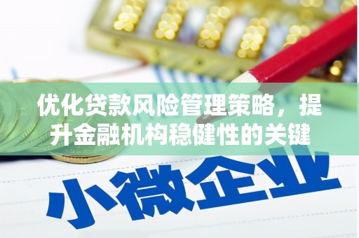 卢氏优化贷款风险管理策略，提升金融机构稳健性的关键