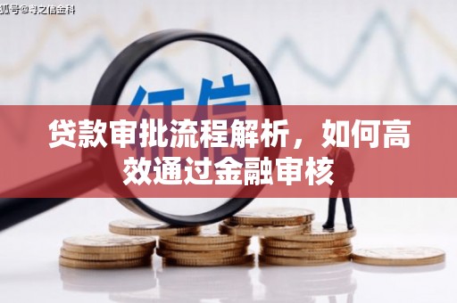 卢氏贷款审批流程解析，如何高效通过金融审核