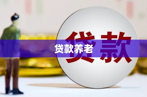 卢氏贷款养老