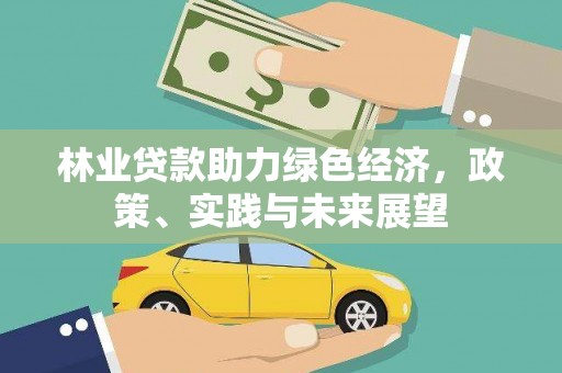卢氏林业贷款助力绿色经济，政策、实践与未来展望