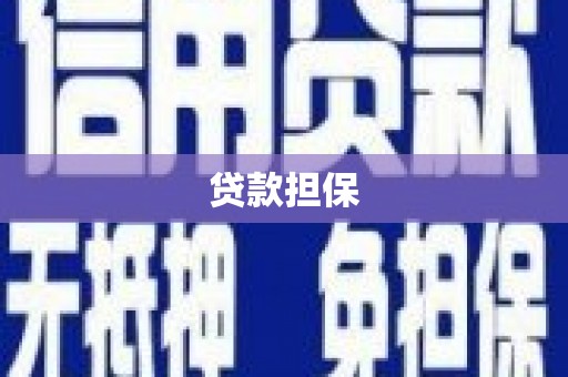卢氏贷款担保
