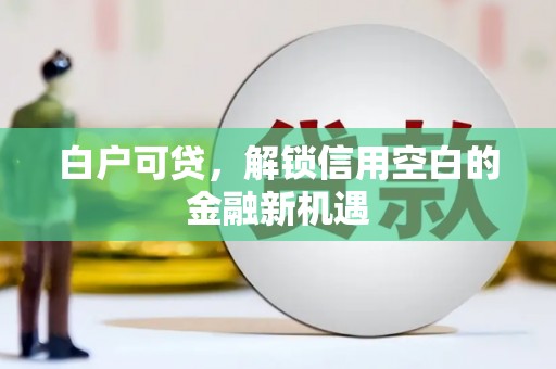 卢氏白户可贷，解锁信用空白的金融新机遇