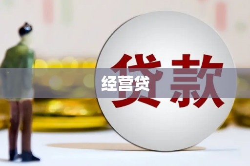 卢氏经营贷