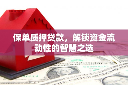 卢氏保单质押贷款，解锁资金流动性的智慧之选