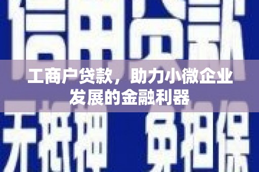 卢氏工商户贷款，助力小微企业发展的金融利器
