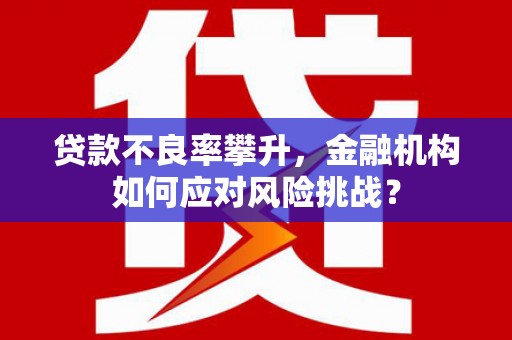 卢氏贷款不良率攀升，金融机构如何应对风险挑战？