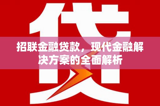 卢氏招联金融贷款，现代金融解决方案的全面解析