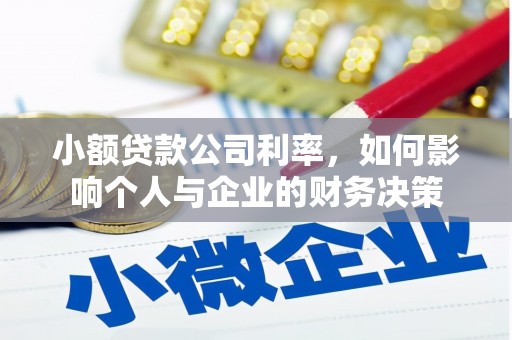 卢氏小额贷款公司利率，如何影响个人与企业的财务决策