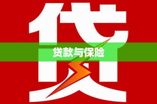 卢氏贷款与保险
