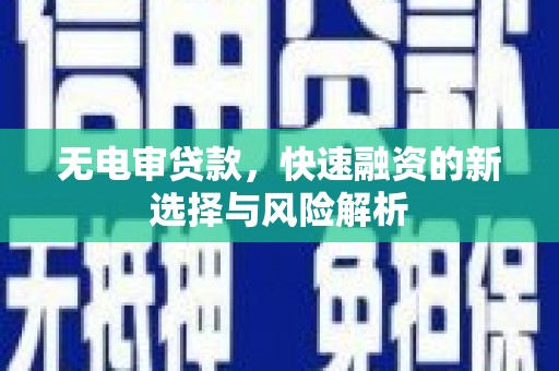 卢氏无电审贷款，快速融资的新选择与风险解析