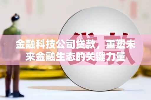 卢氏金融科技公司贷款，重塑未来金融生态的关键力量