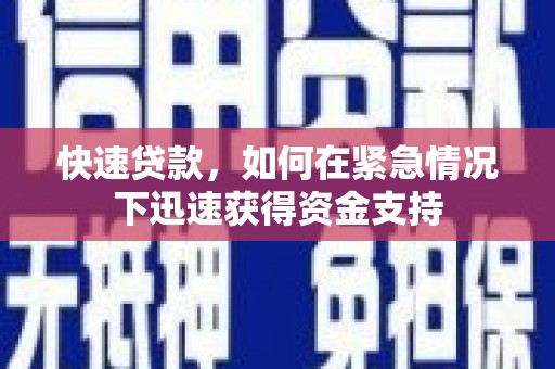 卢氏快速贷款，如何在紧急情况下迅速获得资金支持