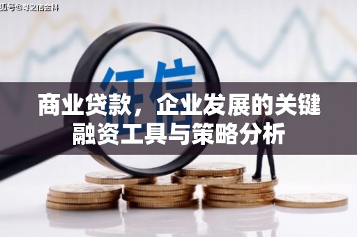 卢氏商业贷款，企业发展的关键融资工具与策略分析