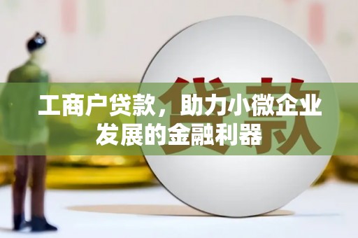 卢氏工商户贷款，助力小微企业发展的金融利器