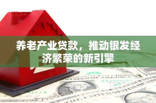 卢氏养老产业贷款，推动银发经济繁荣的新引擎