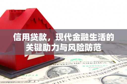 卢氏信用贷款，现代金融生活的关键助力与风险防范