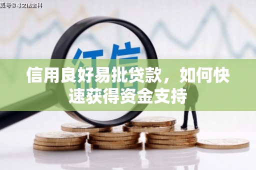 卢氏信用良好易批贷款，如何快速获得资金支持
