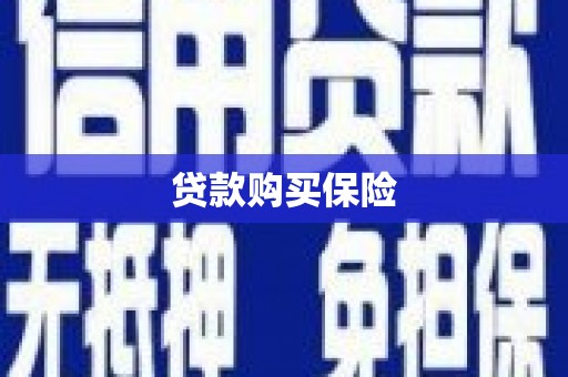 卢氏贷款购买保险