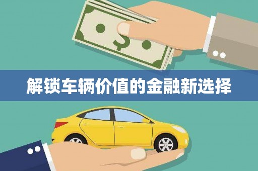 卢氏解锁车辆价值的金融新选择