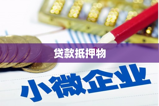 卢氏贷款抵押物