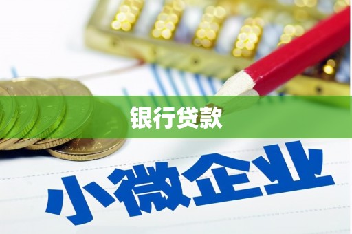 卢氏银行贷款