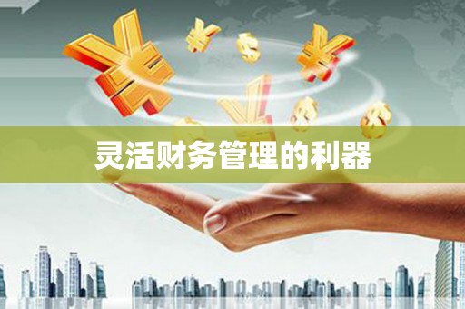 卢氏灵活财务管理的利器