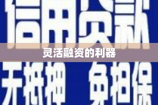 卢氏灵活融资的利器