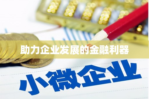 卢氏助力企业发展的金融利器
