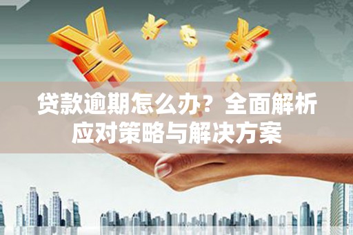 卢氏贷款逾期怎么办？全面解析应对策略与解决方案