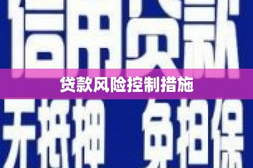卢氏贷款风险控制措施