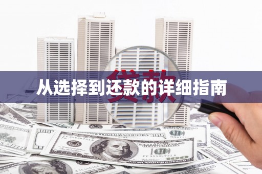 卢氏从选择到还款的详细指南