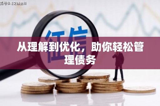 卢氏从理解到优化，助你轻松管理债务