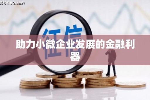 卢氏助力小微企业发展的金融利器