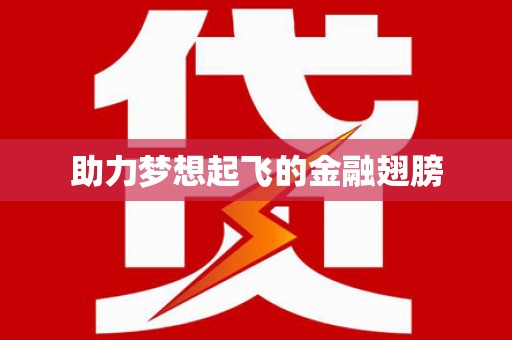 卢氏助力梦想起飞的金融翅膀