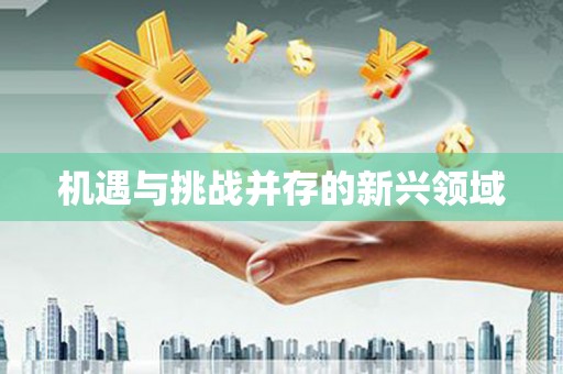 卢氏机遇与挑战并存的新兴领域