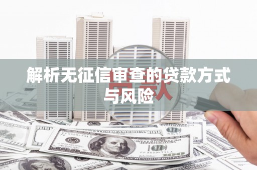 卢氏解析无征信审查的贷款方式与风险