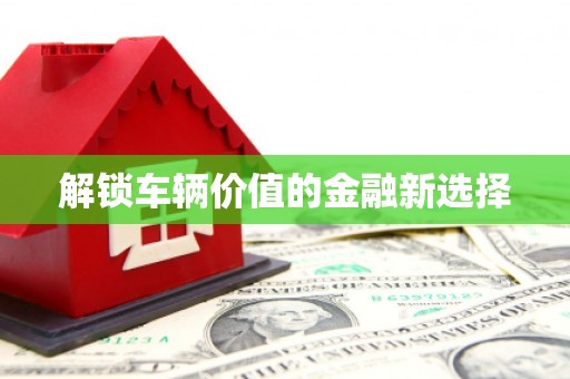 卢氏解锁车辆价值的金融新选择