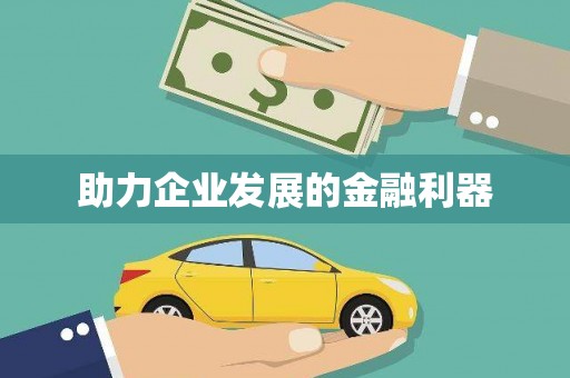 卢氏助力企业发展的金融利器
