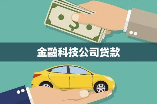 卢氏金融科技公司贷款