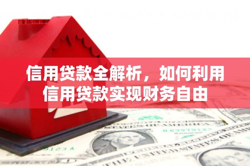 卢氏信用贷款全解析，如何利用信用贷款实现财务自由