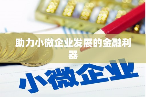 卢氏助力小微企业发展的金融利器